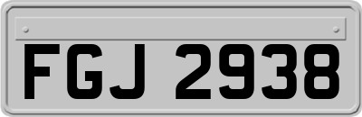 FGJ2938