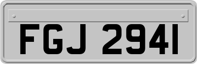 FGJ2941