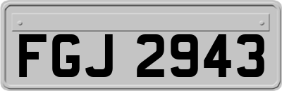 FGJ2943