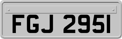 FGJ2951