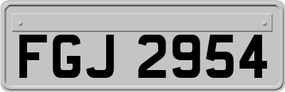 FGJ2954