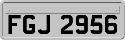 FGJ2956