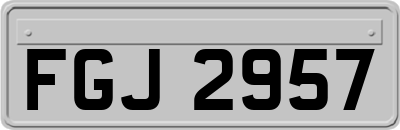 FGJ2957