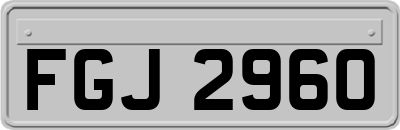 FGJ2960