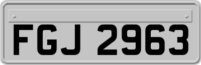 FGJ2963