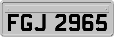 FGJ2965