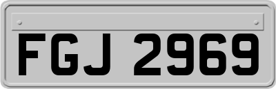 FGJ2969