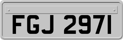 FGJ2971