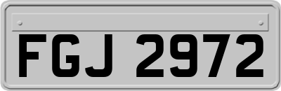 FGJ2972