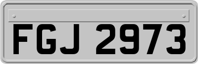 FGJ2973