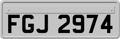 FGJ2974