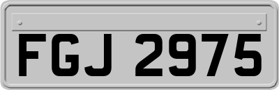 FGJ2975