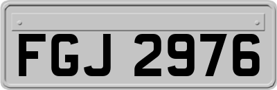 FGJ2976