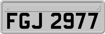FGJ2977
