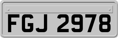 FGJ2978