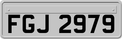 FGJ2979