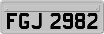 FGJ2982