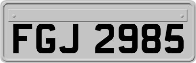 FGJ2985