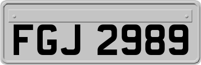 FGJ2989