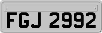 FGJ2992