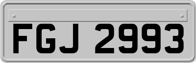 FGJ2993