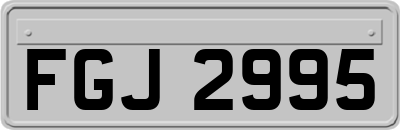 FGJ2995