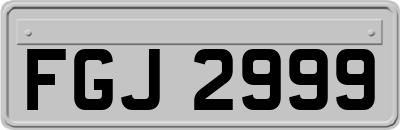 FGJ2999