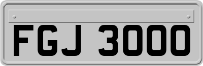 FGJ3000