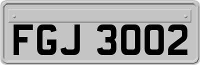 FGJ3002