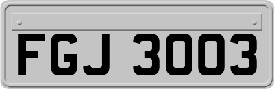 FGJ3003