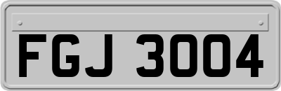 FGJ3004