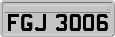 FGJ3006