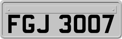 FGJ3007