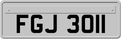 FGJ3011