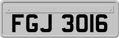 FGJ3016