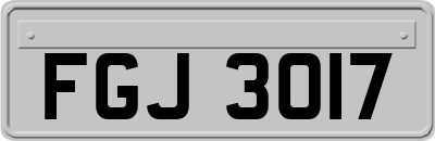 FGJ3017