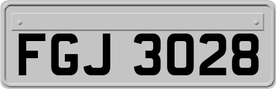 FGJ3028