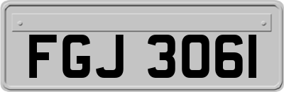 FGJ3061