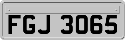 FGJ3065