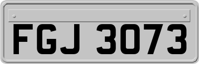 FGJ3073