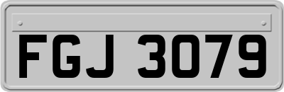 FGJ3079