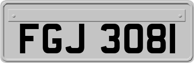 FGJ3081