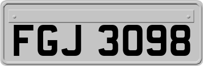 FGJ3098