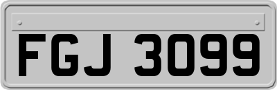 FGJ3099