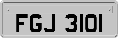 FGJ3101