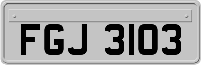 FGJ3103