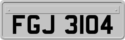 FGJ3104