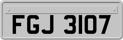 FGJ3107