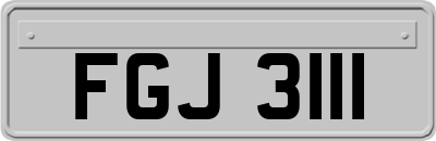 FGJ3111