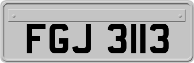 FGJ3113
